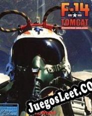 Descargar F-14 Tomcat Full Español