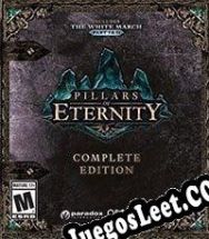 Descargar Pillars of Eternity Full Español