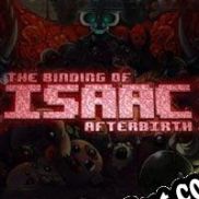 Descargar The Binding Of Isaac: Afterbirth (2015/ENG/Español/RePack from BetaMaster)